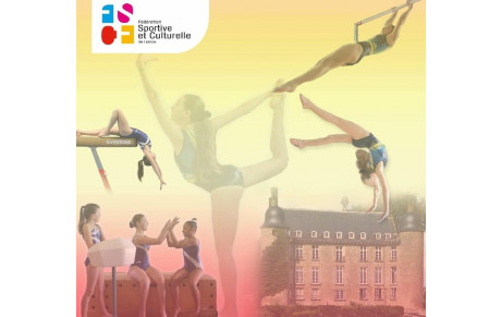 Championnat National par équipe, l'Equipe jeunesse d'Oxygym Les Abrets ira défier les plus grandes gymnastes de France de la FSCF en juin a Flers (Basse Normandie)